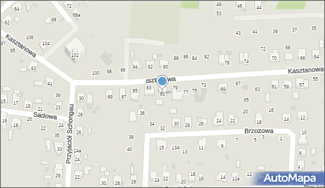 Gogolin, Kasztanowa, 81, mapa Gogolin