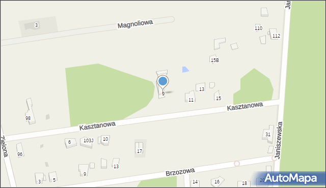 Janiszew, Kasztanowa, 9, mapa Janiszew