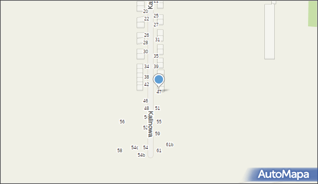 Janków Przygodzki, Kalinowa, 47, mapa Janków Przygodzki