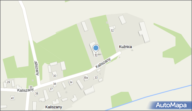 Kaliszany, Kaliszany, 31, mapa Kaliszany