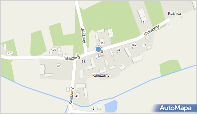 Kaliszany, Kaliszany, 37, mapa Kaliszany