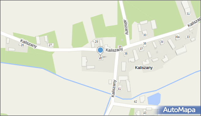 Kaliszany, Kaliszany, 40, mapa Kaliszany