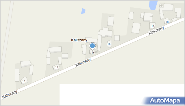 Kaliszany, Kaliszany, 15, mapa Kaliszany