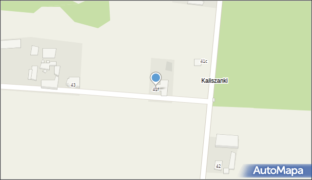 Kaliszany, Kaliszany, 41f, mapa Kaliszany