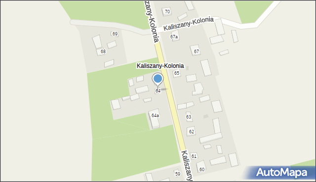 Kaliszany-Kolonia, Kaliszany-Kolonia, 64, mapa Kaliszany-Kolonia