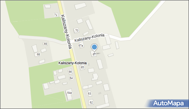 Kaliszany-Kolonia, Kaliszany-Kolonia, 67, mapa Kaliszany-Kolonia