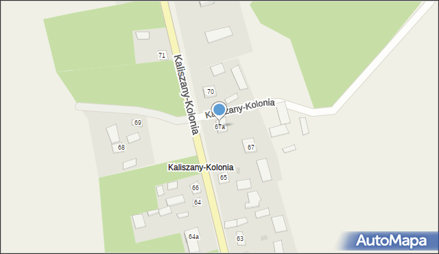 Kaliszany-Kolonia, Kaliszany-Kolonia, 67a, mapa Kaliszany-Kolonia