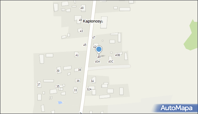 Kaplonosy, Kaplonosy, 40, mapa Kaplonosy