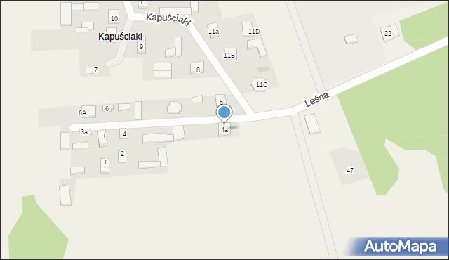 Kapuściaki, Kapuściaki, 4a, mapa Kapuściaki