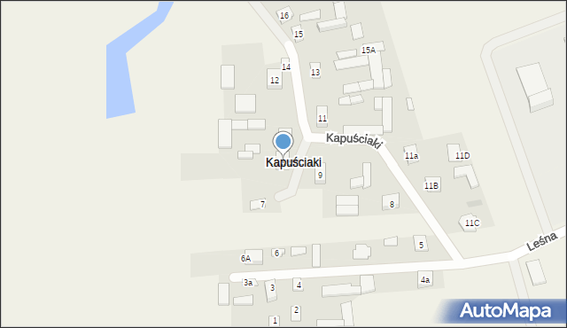 Kapuściaki, Kapuściaki, 9a, mapa Kapuściaki