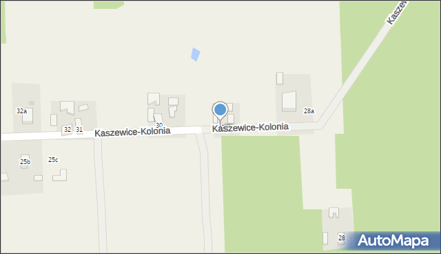 Kaszewice-Kolonia, Kaszewice-Kolonia, 29, mapa Kaszewice-Kolonia