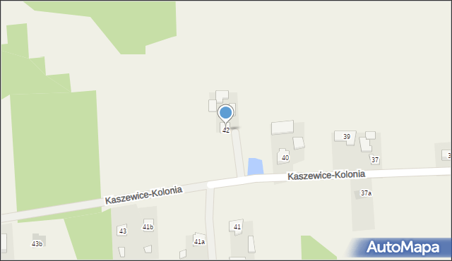 Kaszewice-Kolonia, Kaszewice-Kolonia, 42, mapa Kaszewice-Kolonia