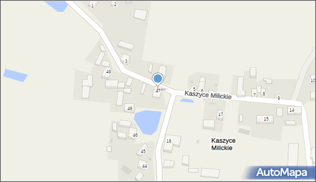 Kaszyce Milickie, Kaszyce Milickie, 47, mapa Kaszyce Milickie