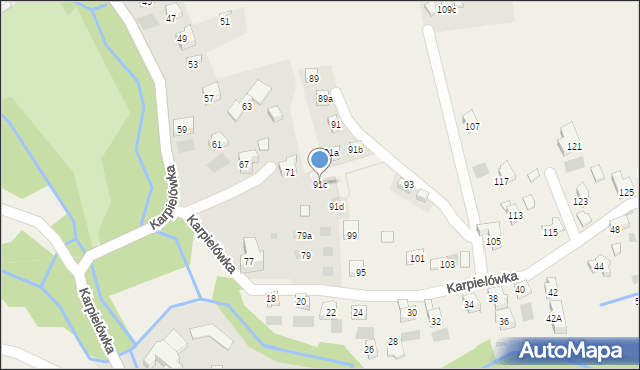 Kościelisko, Karpielówka, 91c, mapa Kościelisko