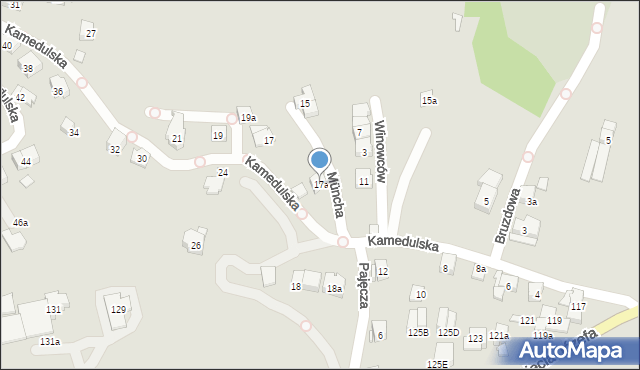 Kraków, Kamedulska, 17a, mapa Krakowa
