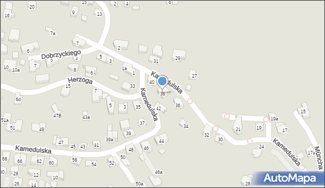 Kraków, Kamedulska, 38, mapa Krakowa