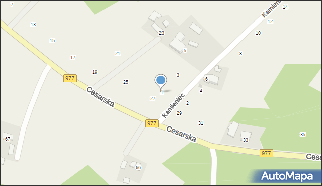 Moszczenica, Kamieniec, 1, mapa Moszczenica