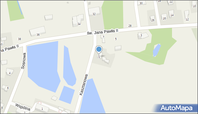 Nidek, Kasztanowa, 1, mapa Nidek