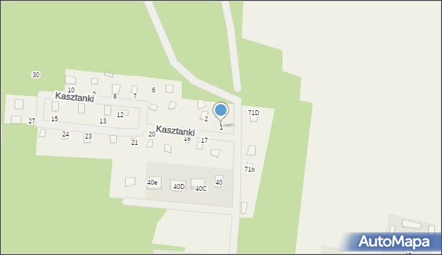 Pasikonie, Kasztanki, 1, mapa Pasikonie