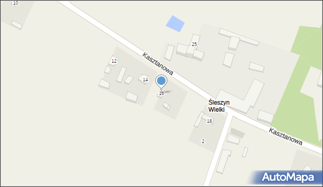 Śleszyn, Kasztanowa, 16, mapa Śleszyn