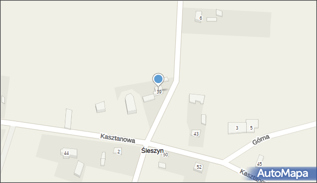Śleszyn, Kasztanowa, 39, mapa Śleszyn
