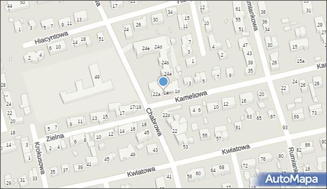 Toruń, Kameliowa, 1, mapa Torunia