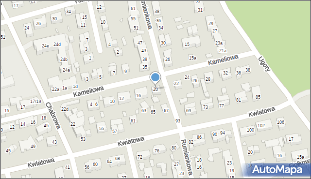 Toruń, Kameliowa, 20, mapa Torunia