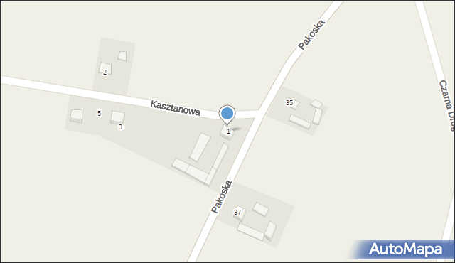 Tuczno, Kasztanowa, 1, mapa Tuczno