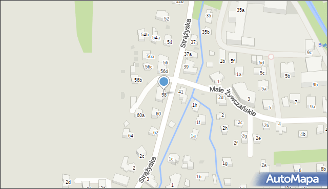 Zakopane, Kasprusie, 58, mapa Zakopanego