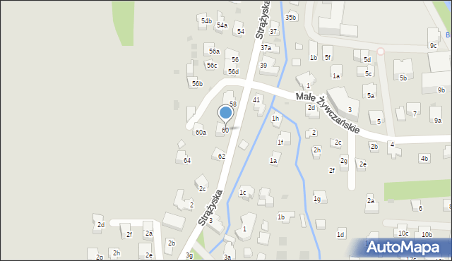 Zakopane, Kasprusie, 60, mapa Zakopanego