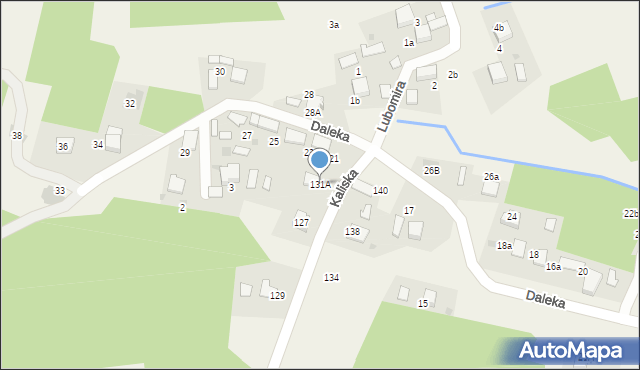 Żarki, Kaliska, 131A, mapa Żarki