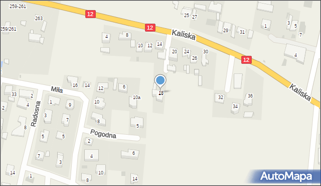 Zduny, Kaliska, 18, mapa Zduny