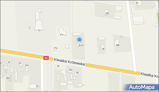 Klwatka Królewska, Klwatka Królewska, 37, mapa Klwatka Królewska