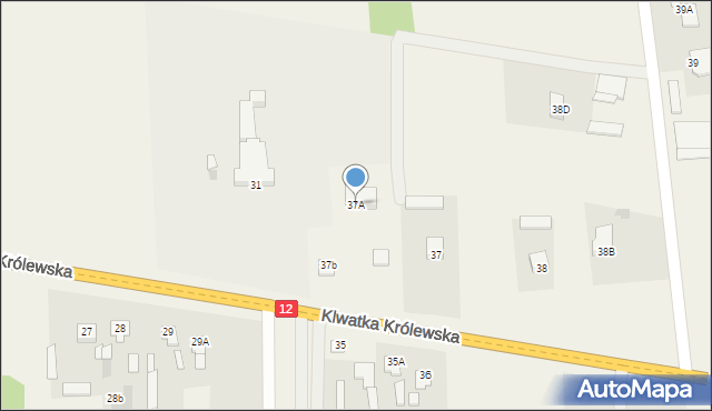 Klwatka Królewska, Klwatka Królewska, 37A, mapa Klwatka Królewska