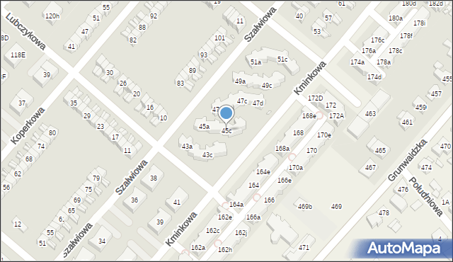 Plewiska, Kminkowa, 45c, mapa Plewiska