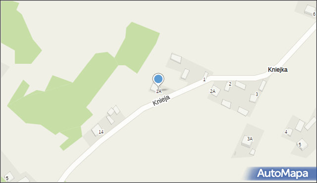 Krzaki, Knieja, 1A, mapa Krzaki