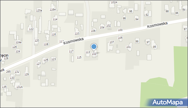 Borzęcin Duży, Kosmowska, 111, mapa Borzęcin Duży