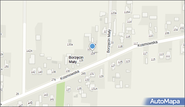 Borzęcin Duży, Kosmowska, 124, mapa Borzęcin Duży