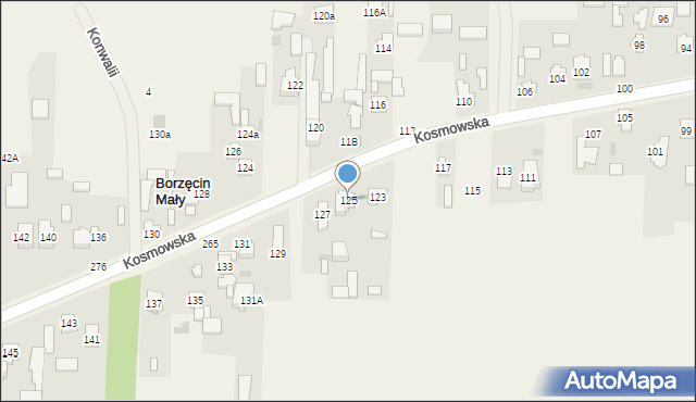 Borzęcin Duży, Kosmowska, 125, mapa Borzęcin Duży