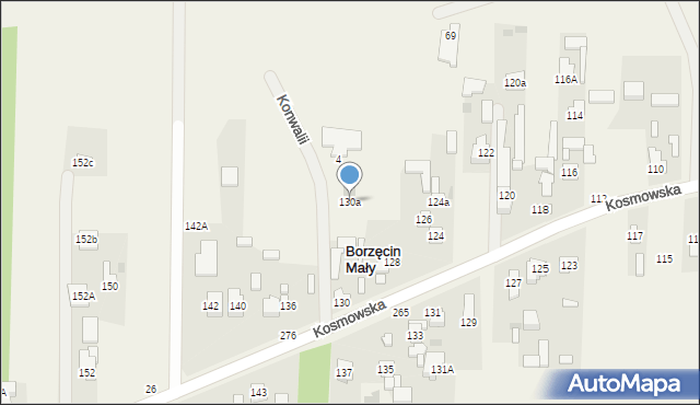 Borzęcin Duży, Kosmowska, 130a, mapa Borzęcin Duży