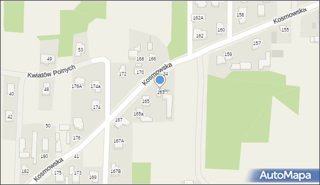 Borzęcin Mały, Kosmowska, 163, mapa Borzęcin Mały