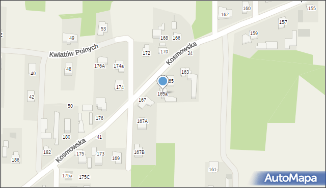 Borzęcin Mały, Kosmowska, 165a, mapa Borzęcin Mały