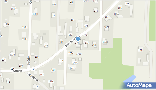 Borzęcin Mały, Kosmowska, 175B, mapa Borzęcin Mały