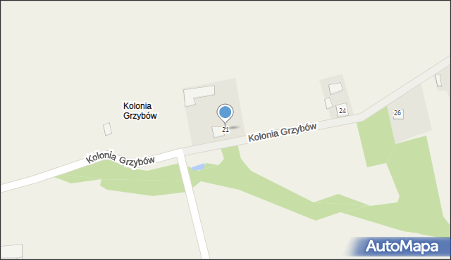 Grzybów, Kolonia Grzybów, 21, mapa Grzybów