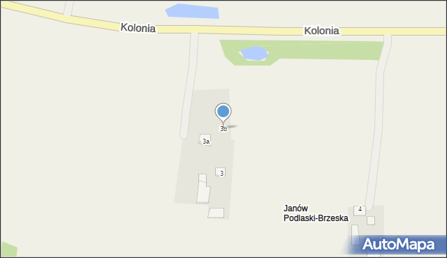 Janów Podlaski, Kolonia, 3b, mapa Janów Podlaski