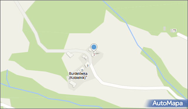 Kobielnik, Kobielnik, 1, mapa Kobielnik