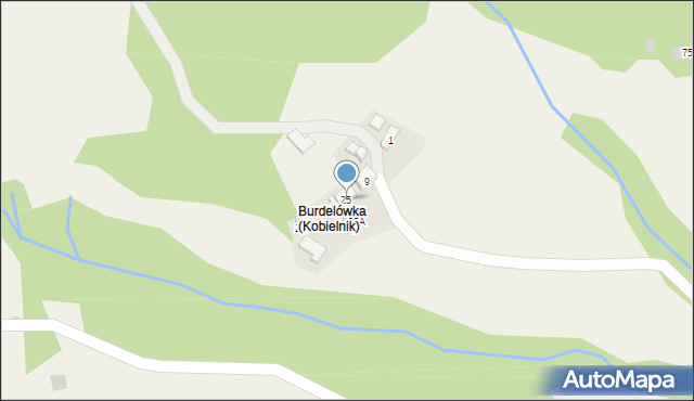 Kobielnik, Kobielnik, 25, mapa Kobielnik