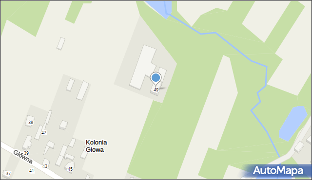 Kolonia Głowa, Kolonia Głowa, 49, mapa Kolonia Głowa