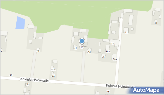 Kolonia Hołowienki, Kolonia Hołowienki, 40, mapa Kolonia Hołowienki