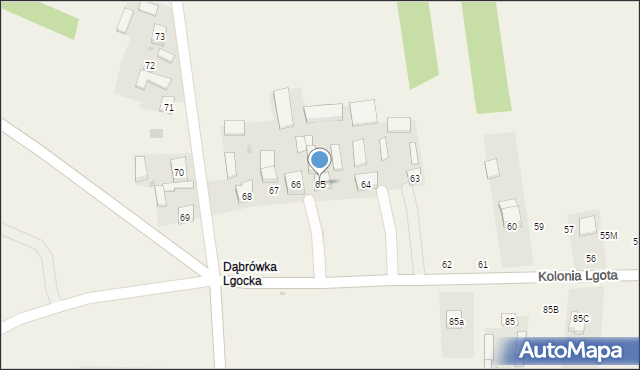 Kolonia Lgota, Kolonia Lgota, 65, mapa Kolonia Lgota